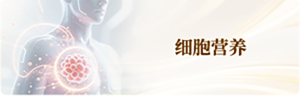 细胞营养